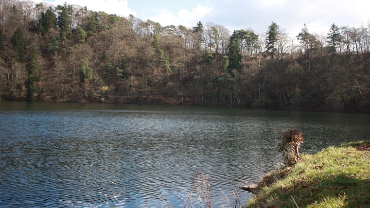 Ein ruhiger See umgeben von Bäumen. Der Himmel ist teilweise bewölkt und spiegelt sich im Wasser.