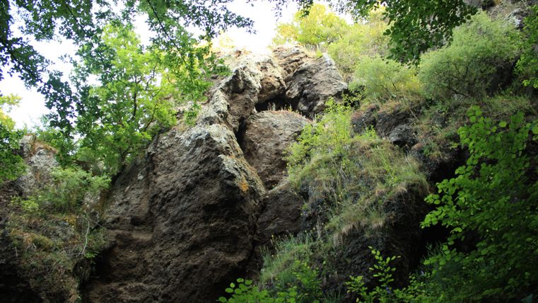 Eine steile Felswand, umgeben von üppigem grünem Laub. Die Sonne scheint durch die Bäume und beleuchtet den Felsen.