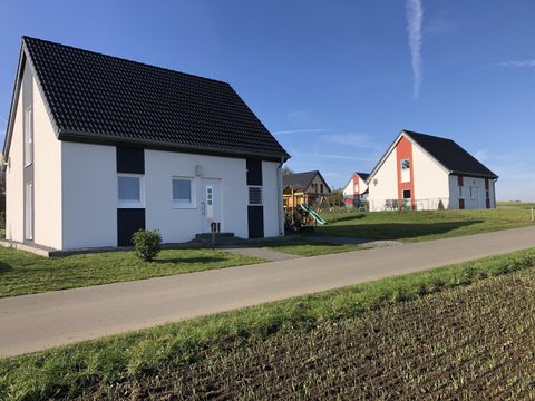 Zwei moderne Einfamilienhäuser stehen nebeneinander auf einer Wiese. Der Himmel ist klar und die Straße vor den Häusern ist eben und gut befahrbar.