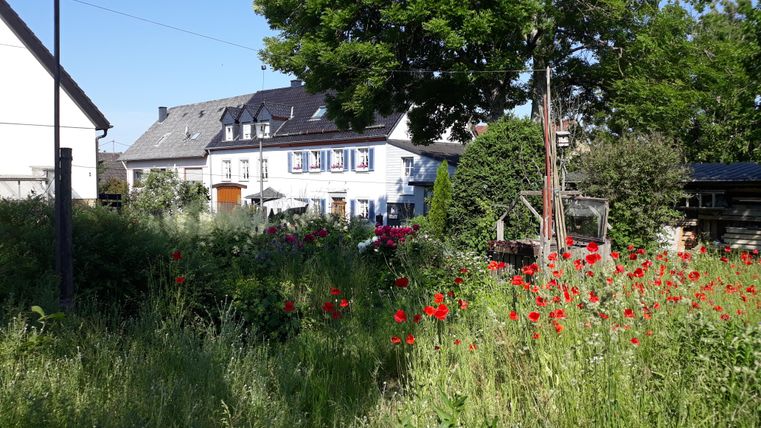 Ein schöner Garten mit roten Mohnblumen und hohem Gras. Im Hintergrund ist ein Haus mit blauen Fenstern und Bäumen zu sehen.