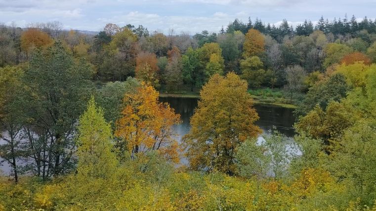 Eine ruhige Landschaft mit bunten Herbstbäumen und einem fließenden Fluss. Der Himmel ist bewölkt, was eine friedliche Atmosphäre schafft.