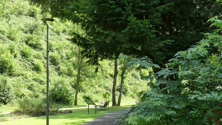 Ein ruhiger Parkweg umgeben von Bäumen und Sträuchern. Es gibt eine Straßenlaterne und zwei Bänke zum Entspannen.