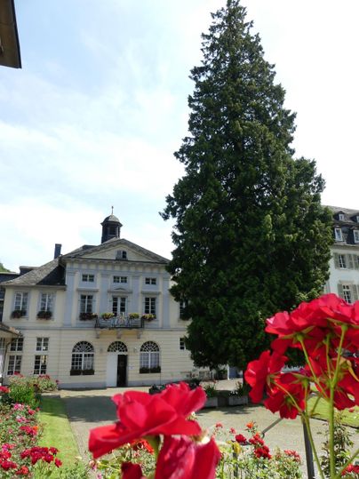 Ein schönes Gebäude mit einer großen Tanne im Vordergrund. Rote Blumen umrahmen die Szene und verleihen einen zusätzlichen Farbtupfer.