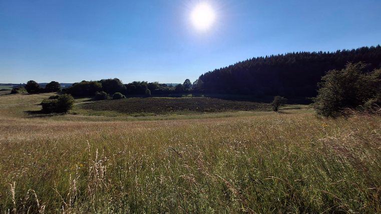 Dry Maar