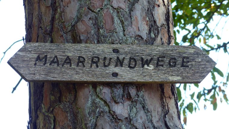 Ein Holzschild mit der Aufschrift "MAARRUNDWEGE" zeigt die Richtung zu Wanderwegen. Der Hintergrund besteht aus einem Baumstamm und grünen Blättern.