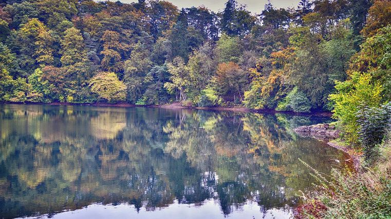 Ein ruhiger See umgeben von buntem Herbstwald. Die Bäume spiegeln sich im klaren Wasser.