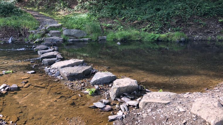 Ein kleiner Bach mit großen Steinen, die als Fußweg dienen. Umgeben von grünen Pflanzen und Bäumen.