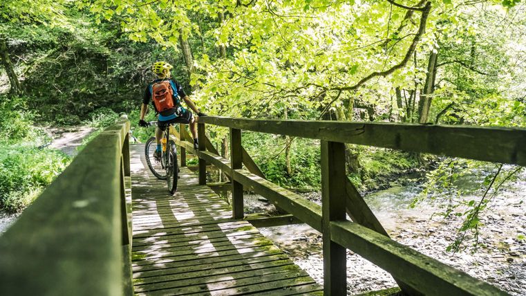 Ein Radfahrer überquert eine Holzbrücke in einem grünen Wald. Die Bäume spenden Schatten und das Licht fällt durch die Blätter.