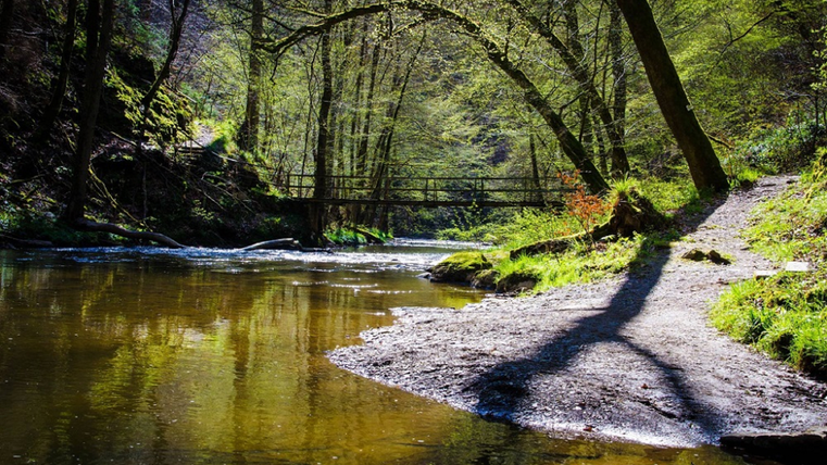 Ein ruhiger Fluss fließt durch einen grünen Wald mit viel Sonne. Im Hintergrund ist eine kleine Fußgängerbrücke zu sehen.