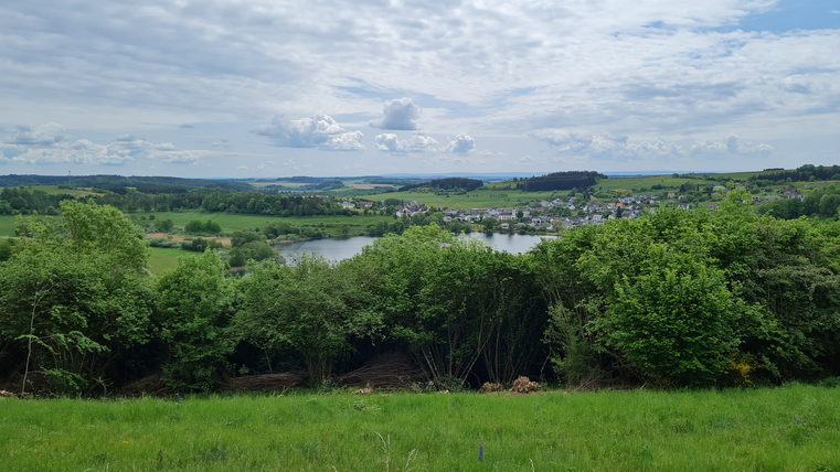 Ein malerischer Blick auf ein Dorf am Wasser, umgeben von grünen Wiesen und Bäumen. Der Himmel ist bewölkt, aber hell.