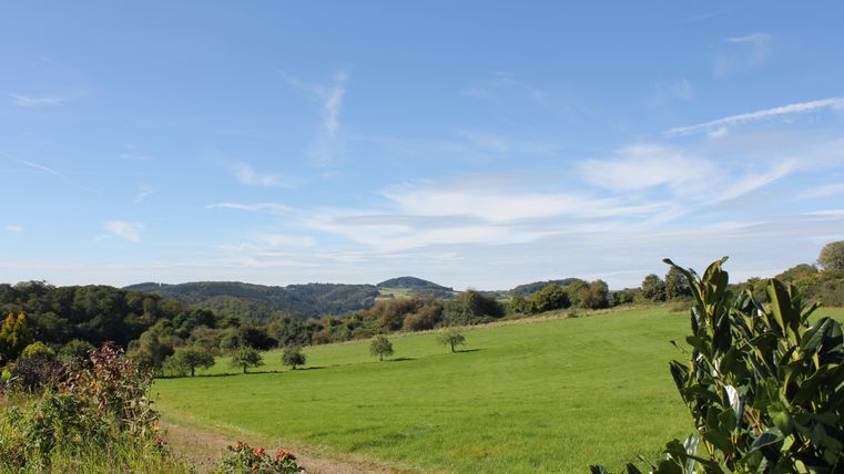 Eine grüne Wiese mit sanften Hügeln im Hintergrund und einem blauen Himmel. Die Umgebung ist von Bäumen und Sträuchern umgeben.