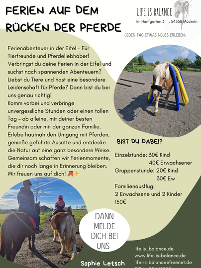 Ein Informationsblatt über Ferienangebote auf Pferden in der Eifel. Es enthält Details zu Preisen und Aktivitäten für Familien und Pferdeliebhaber.