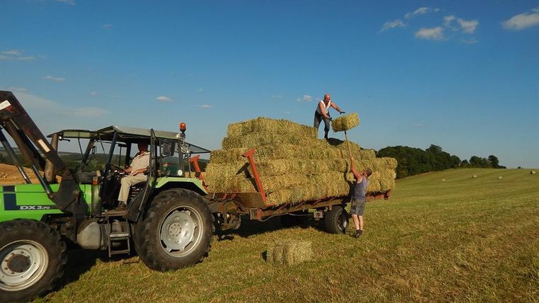 Ein Traktor belädt einen Wagen mit Heuballen auf einem Feld. Zwei Personen arbeiten gemeinsam, um die Ballen aufzutürmen.