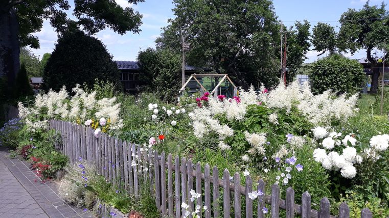 Ein blühender Garten mit bunten Blumen und einem Holzzaun. Im Hintergrund sind Bäume und eine Spielplatzschaukel zu sehen.