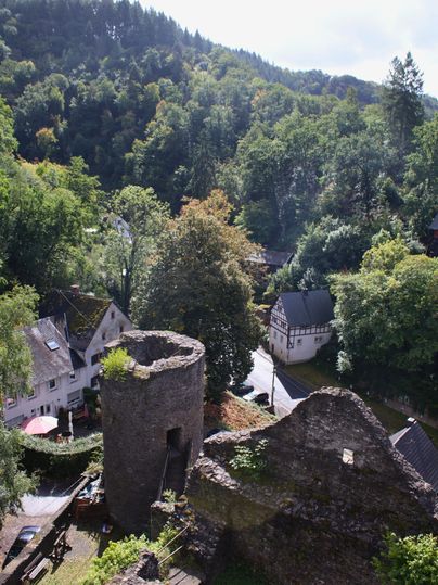 Eine alte Burgruine mit einem Rundturm, umgeben von viel Grün. Im Hintergrund sind kleine Häuser und Wälder sichtbar.