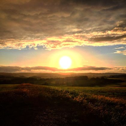 Ein wunderschöner Sonnenuntergang über einer grünen Landschaft. Die Sonne strahlt am Horizont und der Himmel ist mit Wolken gefüllt.
