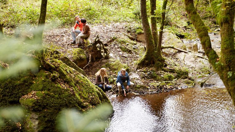 Vier Personen sitzen und stehen an einem kleinen Fluss in einem bewaldeten Gebiet.