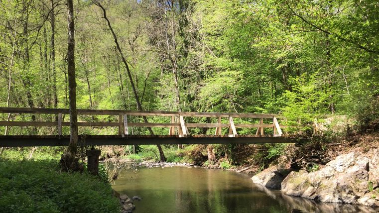 Holzbrücke über einen kleinen Fluss in einem Waldgebiet.