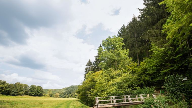 Eine Holzbrücke überquert einen kleinen Bach in einer grünen Landschaft mit Bäumen und Wiesen unter einem bewölkten Himmel.