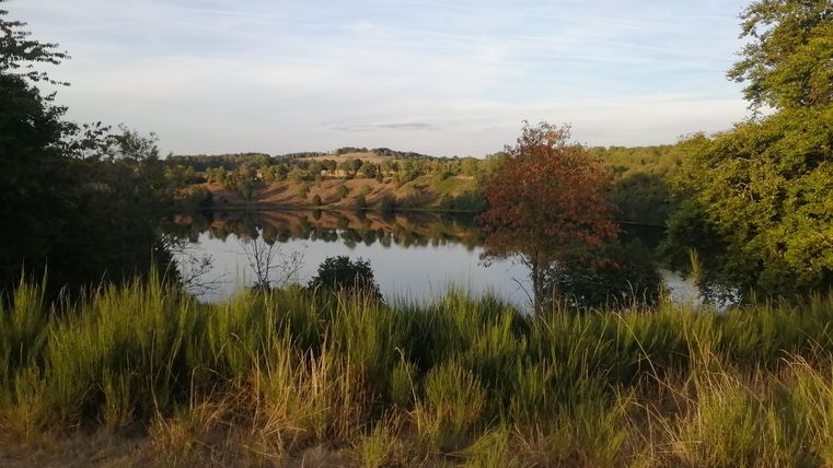 Ein ruhiger See umgeben von grünem Gras und Bäumen. Die Landschaft zeigt sanfte Hügel im Hintergrund und einen klaren Himmel.