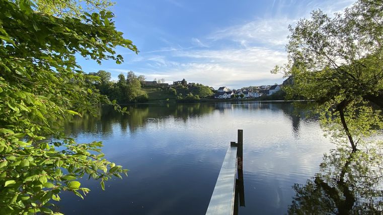 Ein ruhiger See mit einer Holzplattform und üppigem grünem Uferbewuchs. Der Himmel ist klar mit sanften Wolken.