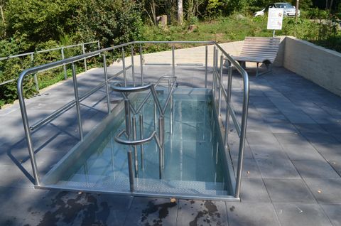 Ein modernes Schwimmbecken mit Metallgeländer in einer natürlichen Umgebung. Die Fläche um das Becken ist mit grauen Fliesen gestaltet.