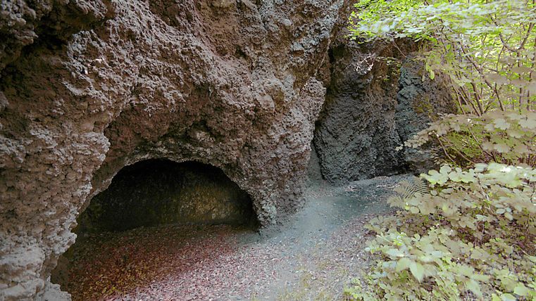 Eine natürliche Höhle aus Lavagestein, umgeben von grünen Pflanzen. Der Boden ist mit Blättern bedeckt und die Umgebung wirkt ruhig und einladend.