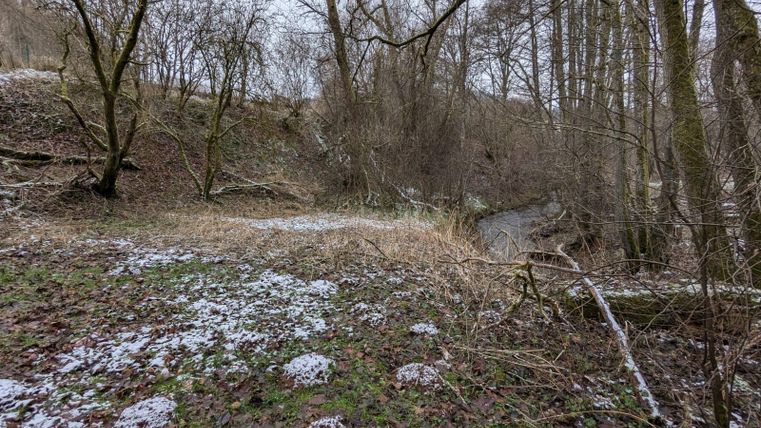 Eine winterliche Landschaft mit nackten Bäumen und strawisierten Flächen. Der Boden ist mit etwas Schnee bedeckt.