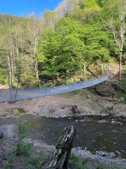 Eine Hängebrücke überspannt einen kleinen Fluss in einer bewaldeten Landschaft. Die Umgebung ist grün und lichtdurchflutet.
