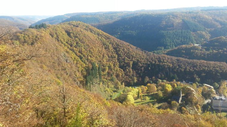 Eine beeindruckende Landschaft mit sanften Hügeln und buntem Laub im Herbst. Im Hintergrund sind dichte Wälder und das klare Blau des Himmels zu sehen.