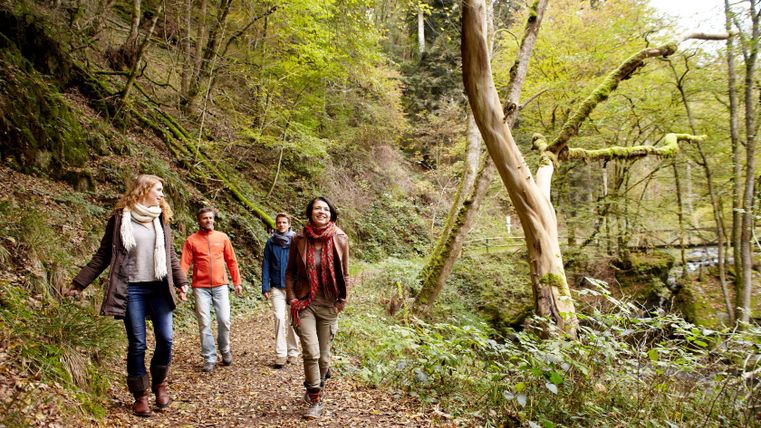 Vier Personen wandern auf einem Waldweg im Herbst.