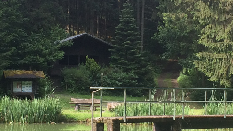 Ein ruhiger Teich umgeben von Bäumen und Sträuchern. Im Hintergrund steht eine Hütte, die von Grünflächen umgeben ist.