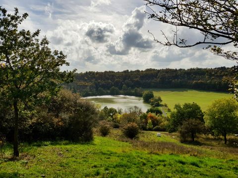 Eine malerische Landschaft mit einem Teich und grünem Gras. Im Hintergrund sind Wälder und teilweise bewölkter Himmel zu sehen.