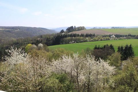 Een prachtige landschap met bloeiende bomen en groene velden. Op de achtergrond zijn zachte heuvels en bossen te zien.