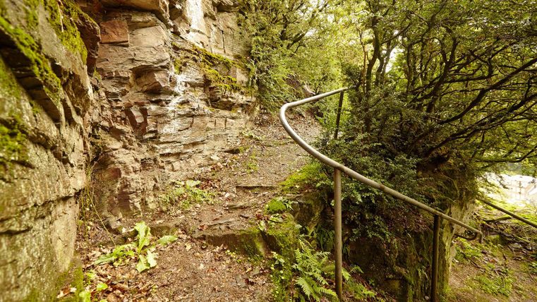 Ein schmaler Weg zwischen moosbedeckten Felsen und üppigem Grün. Der Handlauf führt sicher durch die natürliche Landschaft.