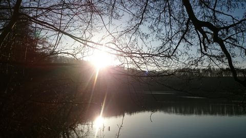 Ein wunderschöner Sonnenaufgang über einem ruhigen See. Bäume umrahmen die Szene und reflektieren das Licht auf der Wasseroberfläche.