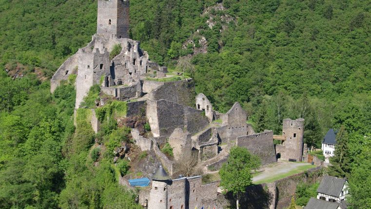 Eine alte Burgruine auf einem Hügel, umgeben von grünen Wäldern. Teile der Mauer und Türme sind noch gut erhalten.