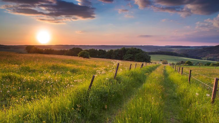Eine malerische Landschaft mit einem Weg, der durch hohe Wiesen führt. Die Sonne geht hinter den Hügeln unter und taucht die Szenerie in warmes Licht.