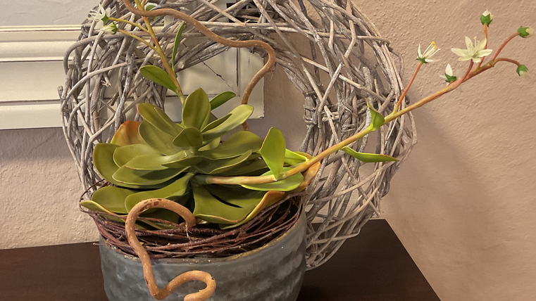 Ein dekorativer Blumentopf mit einer Sukkulente und einem kunstvollen Kranz aus Weidenruten im Hintergrund. Die Pflanzen verleihen dem Raum eine lebendige und frische Atmosphäre.