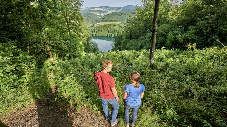 Zwei Menschen stehen auf einem Waldweg und betrachten einen See in der Ferne. Umgeben von üppigem Grün und Bäumen, vermittelt die Szene Ruhe und Naturnähe.
