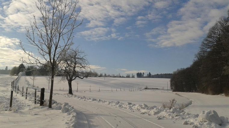 Eine verschneite Landschaft mit einem klaren blauen Himmel. Auf dem Weg stehen ein Baum und Zäune entlang der Wiese.