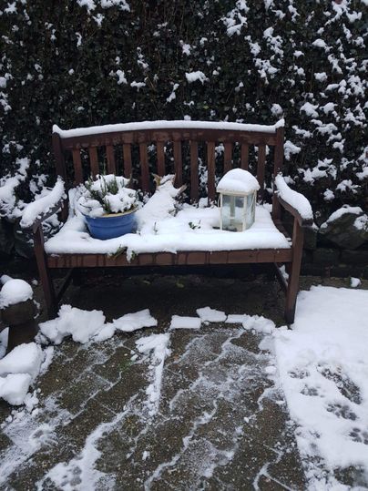 Eine Holzbank im Schnee mit einem Blumentopf und einer Laterne. Der Garten ist zugedeckt mit einer weißen Schneedecke.