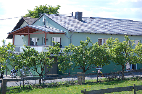 Ein grünes Haus mit einem Balkon und rotem Vordach. Im Vordergrund sind Bäume und ein umzäuntes Grundstück zu sehen.