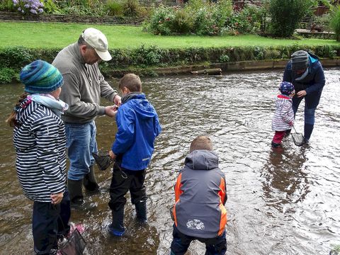 Eine Gruppe von Kindern steht im flachen Wasser eines Baches. Ein Erwachsener zeigt ihnen, wie man Fische fängt.