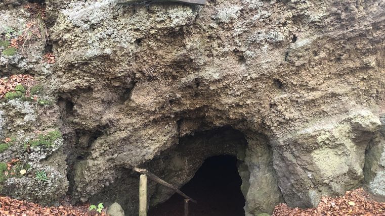 Eingang zur Martinshöhle, umgeben von felsiger Struktur und Herbstlaub. Ein Holzschild mit der Aufschrift "Martins-höhle" ist sichtbar.