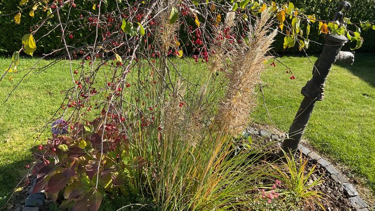 Ein schöner Garten mit bunten Pflanzen und Gräsern. Im Vordergrund steht ein dekoratives Element, das das Gartenbild ergänzt.