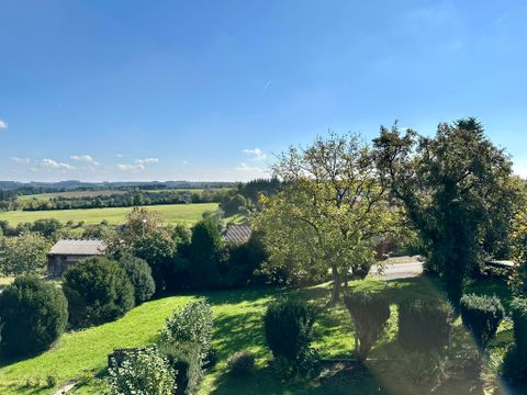 Eine weitläufige Landschaft mit grünen Wiesen und Bäumen unter einem klaren blaube Himmel. Im Hintergrund sind sanfte Hügel und einige Gebäude zu sehen.