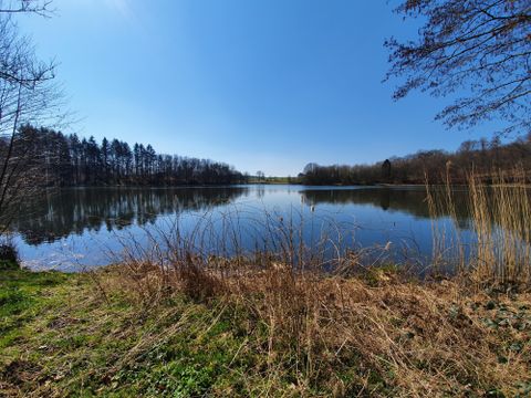 Ein ruhiger See mit klarem Wasser und einem strahlend blauen Himmel. Ufervegetation und Bäume umgeben die Szenerie.