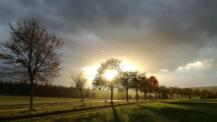 Eine sonnige Lichtung mit Bäumen, die gegen einen bewölkten Himmel leuchten. Die Sonnenstrahlen durchbrechen die Wolken und schaffen eine stimmungsvolle Atmosphäre.