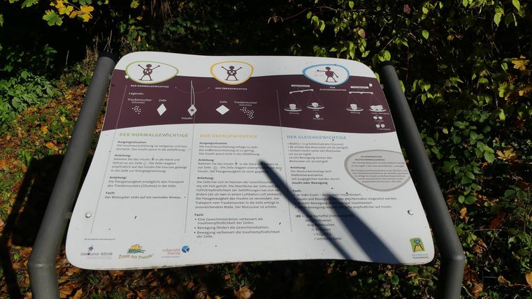 Ein Informationsschild im Freien, umgeben von Bäumen und herbstlichem Laub. Es enthält Hinweise und Informationen zu einem bestimmten Thema.